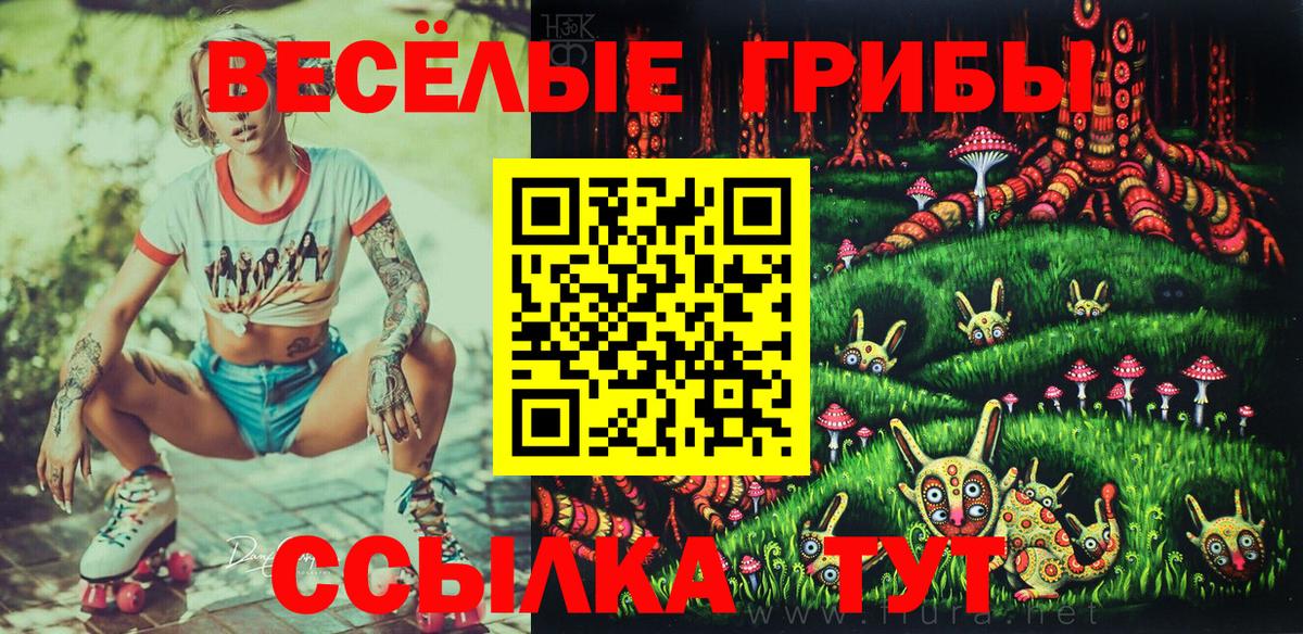Псилоцибиновые грибы ЛСД  Псилоцибиновые грибы MAGIC MUSHROOMS  Пенза  Вход с VPN 