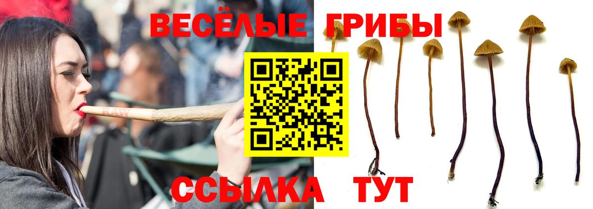 Псилоцибиновые грибы Magic Shrooms Пенза